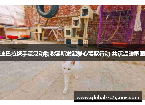 迪巴拉携手流浪动物收容所发起爱心筹款行动 共筑温暖家园