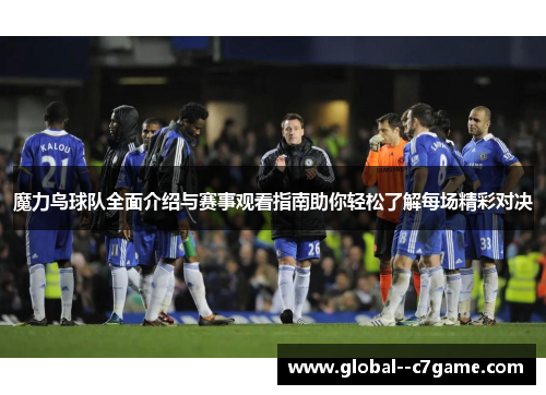 魔力鸟球队全面介绍与赛事观看指南助你轻松了解每场精彩对决